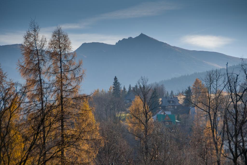 Willa Gardenia Zakopane Chambre photo